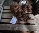 57. Lumiketjut, pari, k-autoon